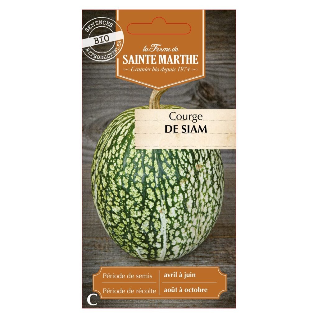 COURGE de Siam - 15 graines bio — sachet recto