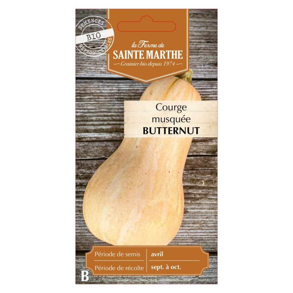 Courge Musquée Butternut - 15 graines bio — sachet recto