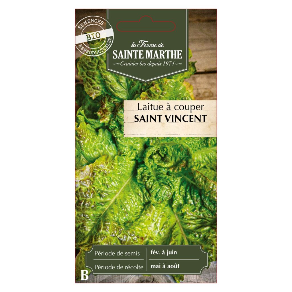 LAITUE A COUPER Saint Vincent - 500 graines bio — sachet recto