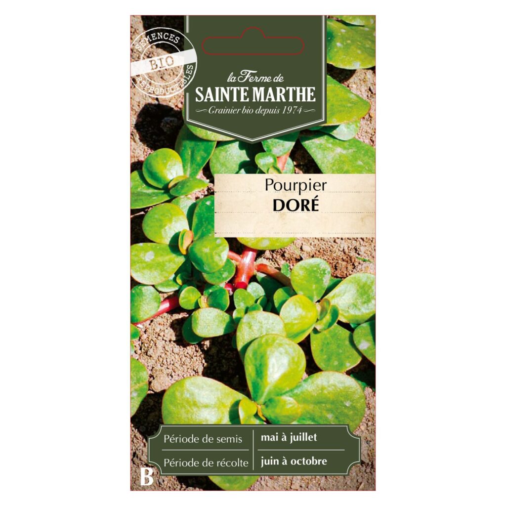 POURPIER Doré - 250 graines bio — sachet recto