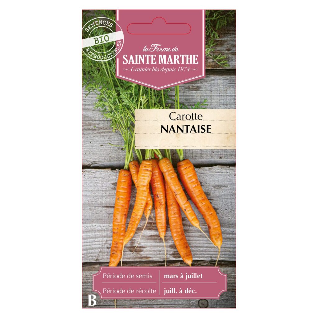 CAROTTE Nantaise - 1000 graines bio — sachet recto
