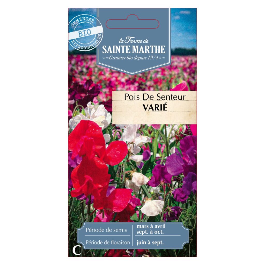 POIS DE SENTEUR Varié - 50 graines - Variété grimpante multicolore bio — sachet recto