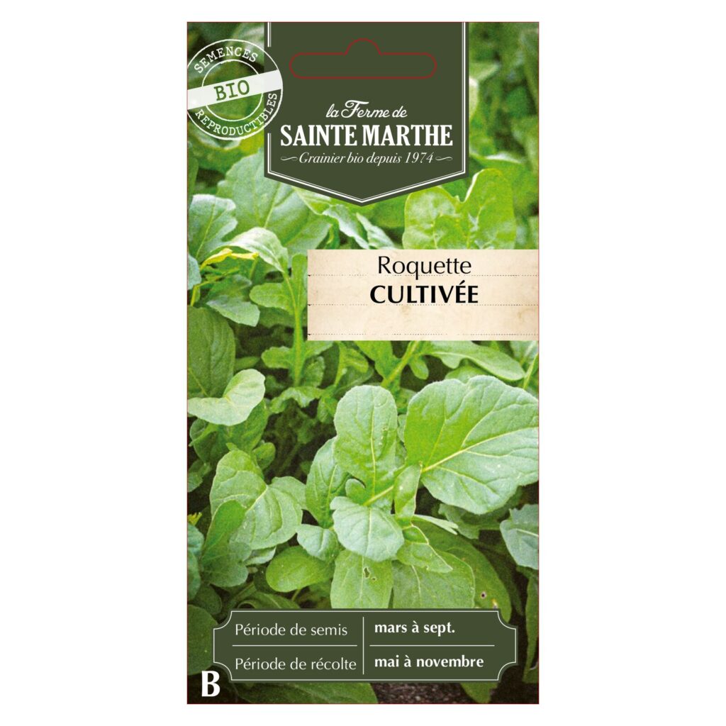 Roquette Cultivée - 1000 graines bio — sachet recto
