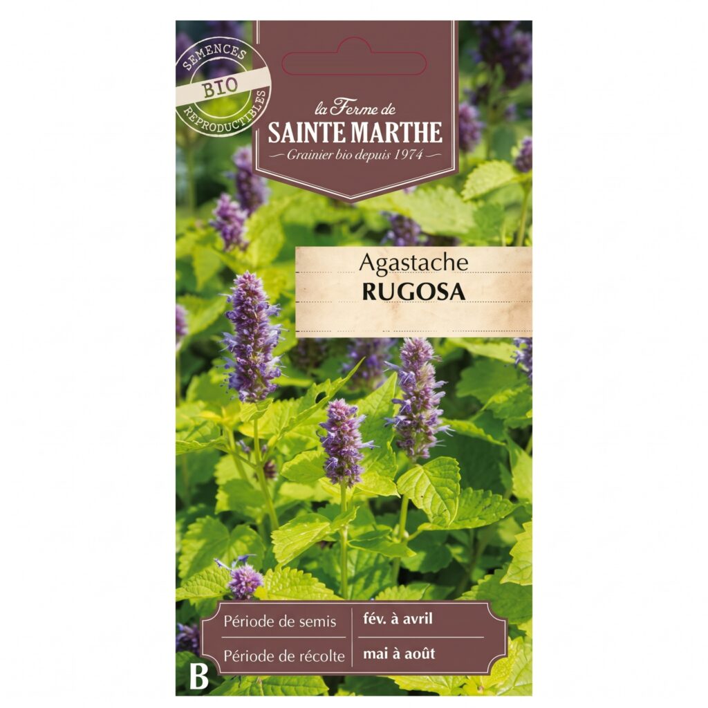 Agastache Rugosa - 200 graines Bio — sachet recto