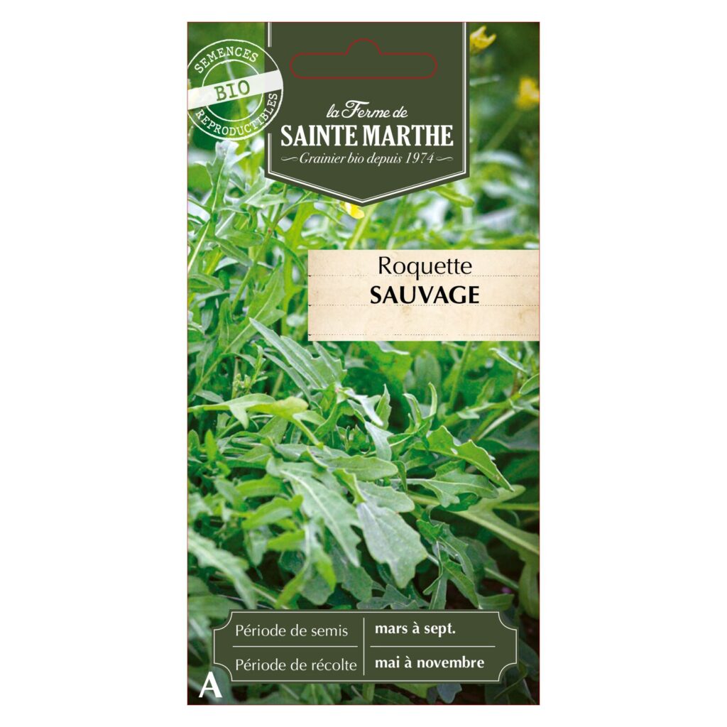 ROQUETTE Sauvage - 1000 graines bio — sachet recto