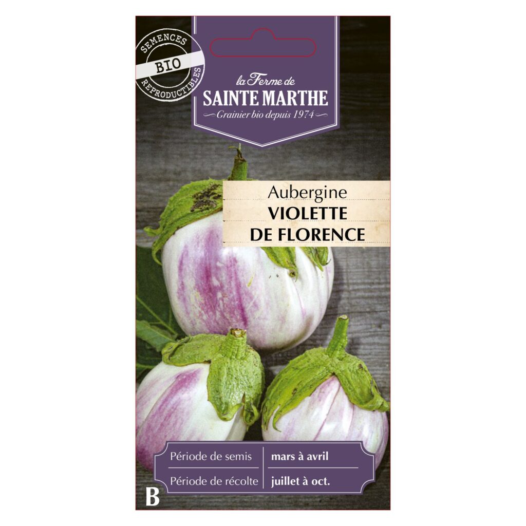 AUBERGINE Violette de Florence - 30 graines bio — sachet recto