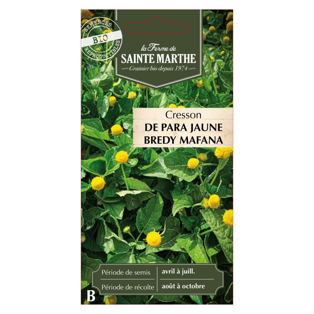 CRESSON de Para Jaune Bredy Mafana - 250 graines BIO — sachet recto