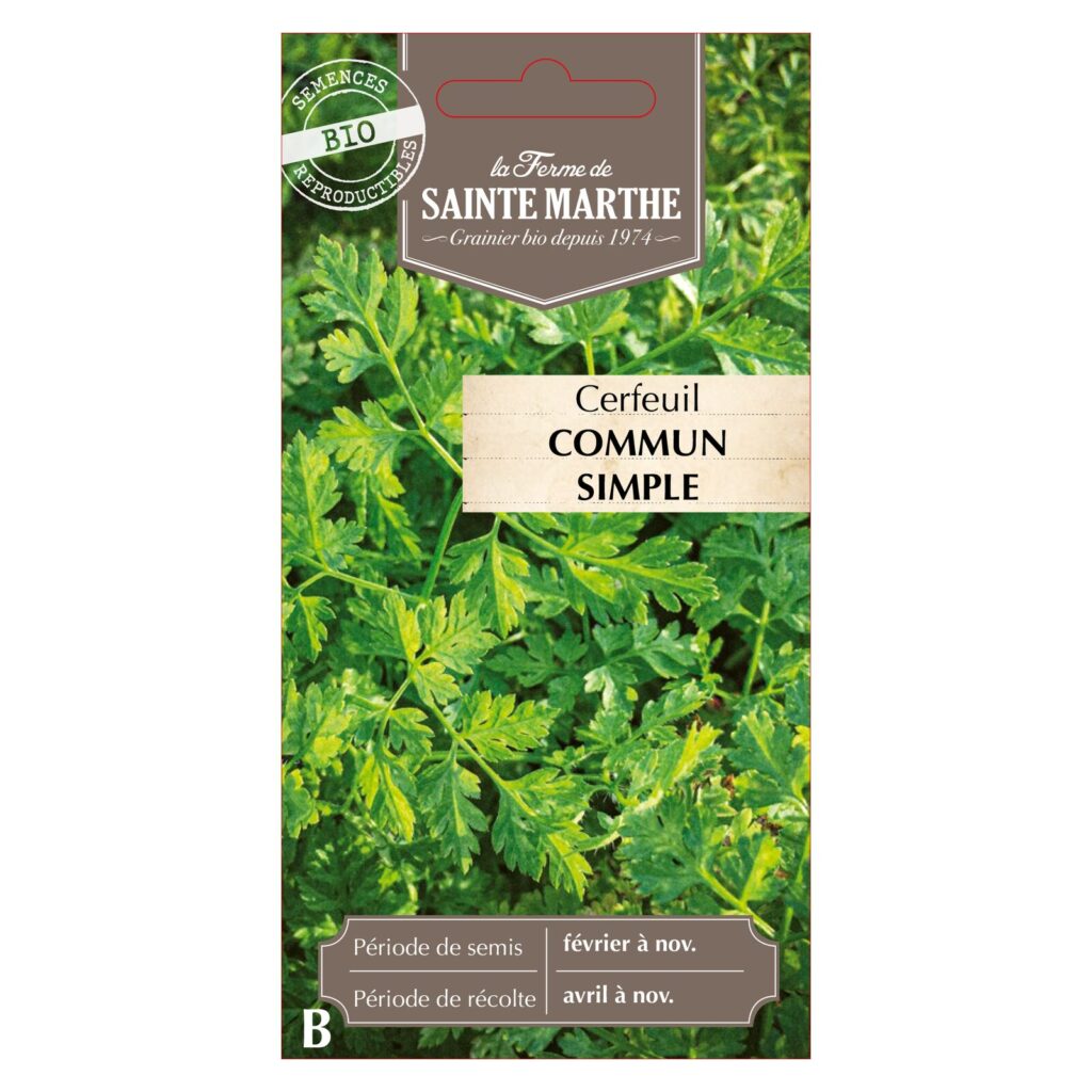 CERFEUIL Commun Simple - 500 graines bio — sachet recto