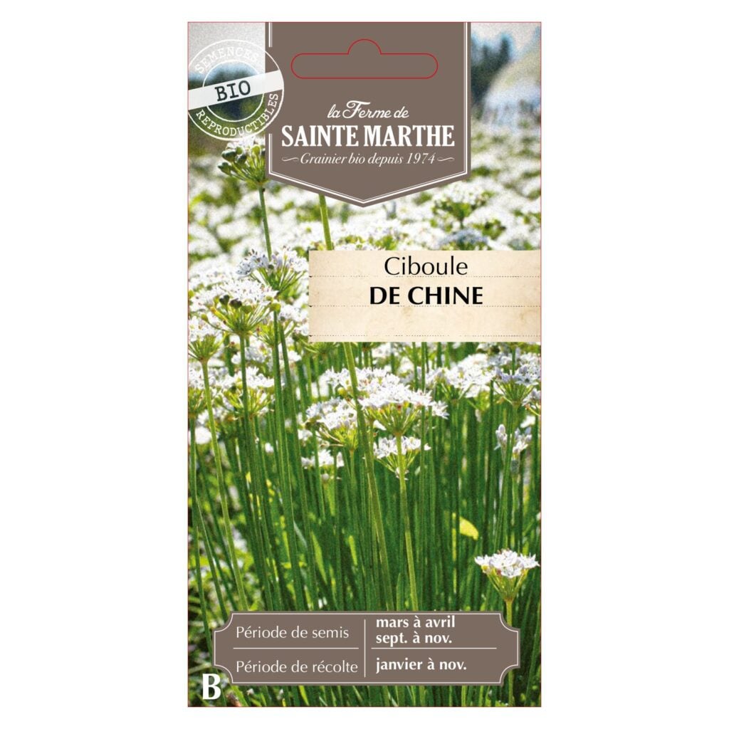 Ciboule de Chine - 200 graines bio — sachet recto