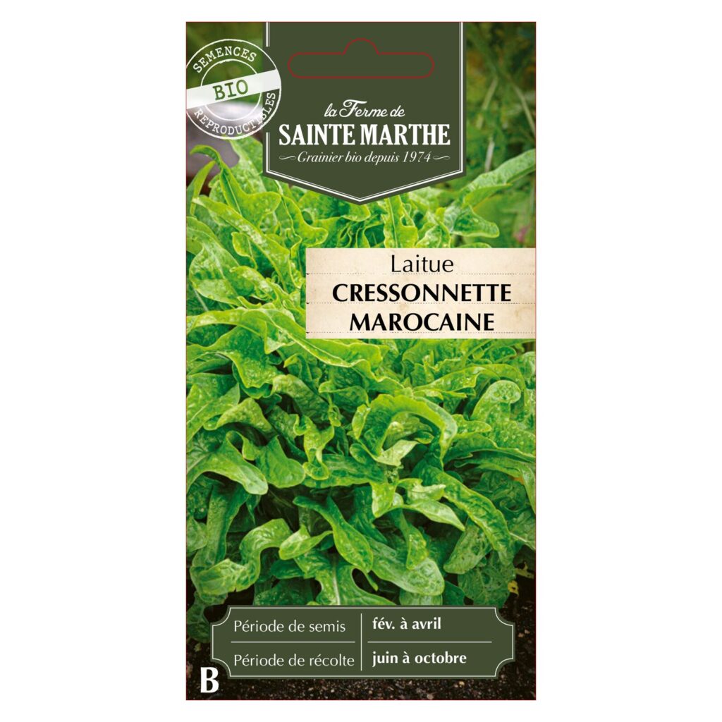Laitue Cressonnette Marocaine - 500 graines bio — sachet recto