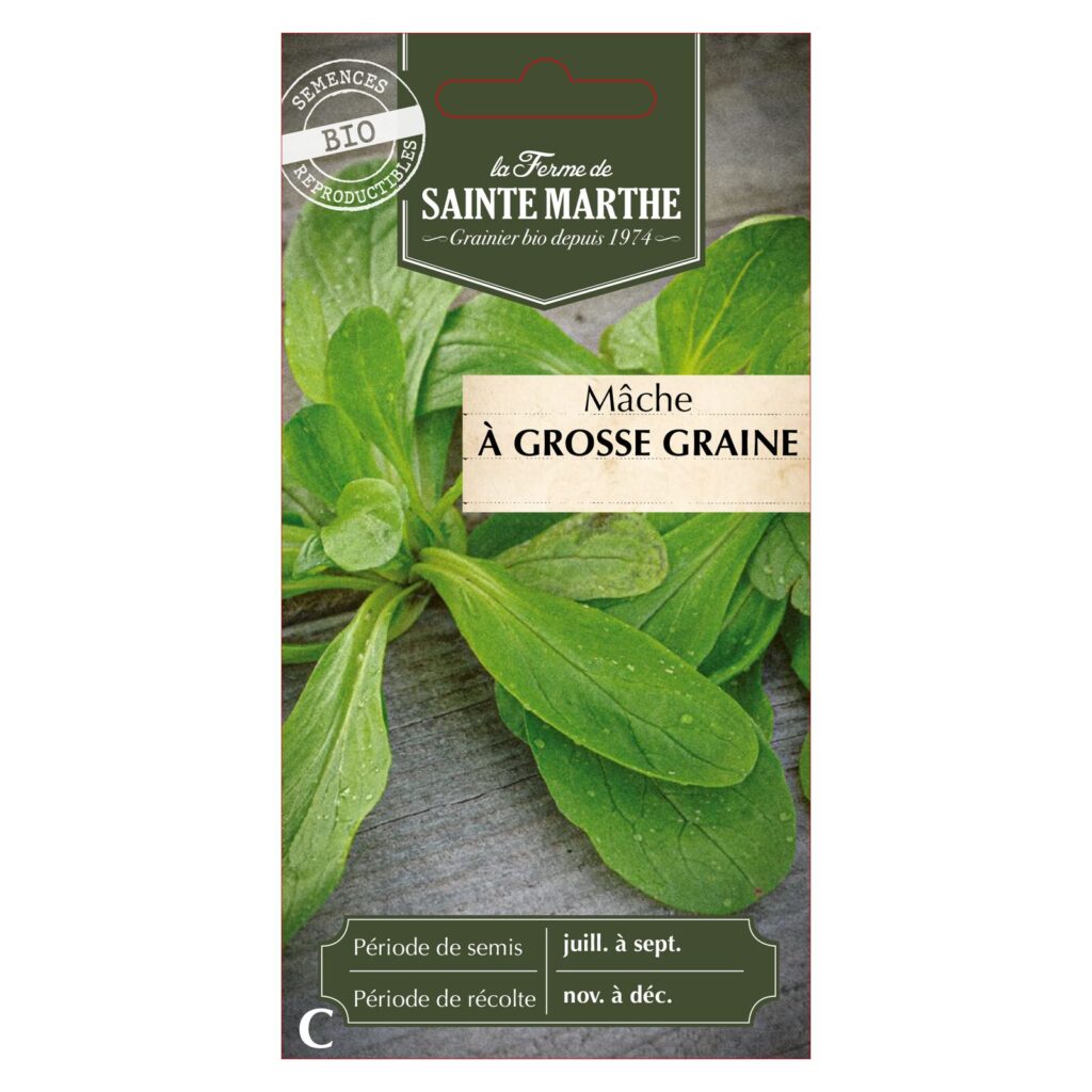 Mâche à Grosse Graine - 500 graines bio — sachet recto