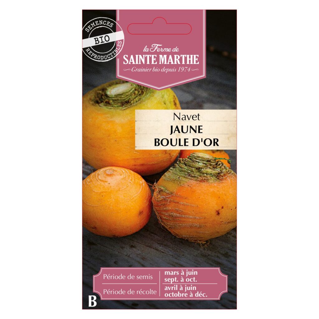 Navet Jaune Boule d'Or - 250 graines bio — sachet recto