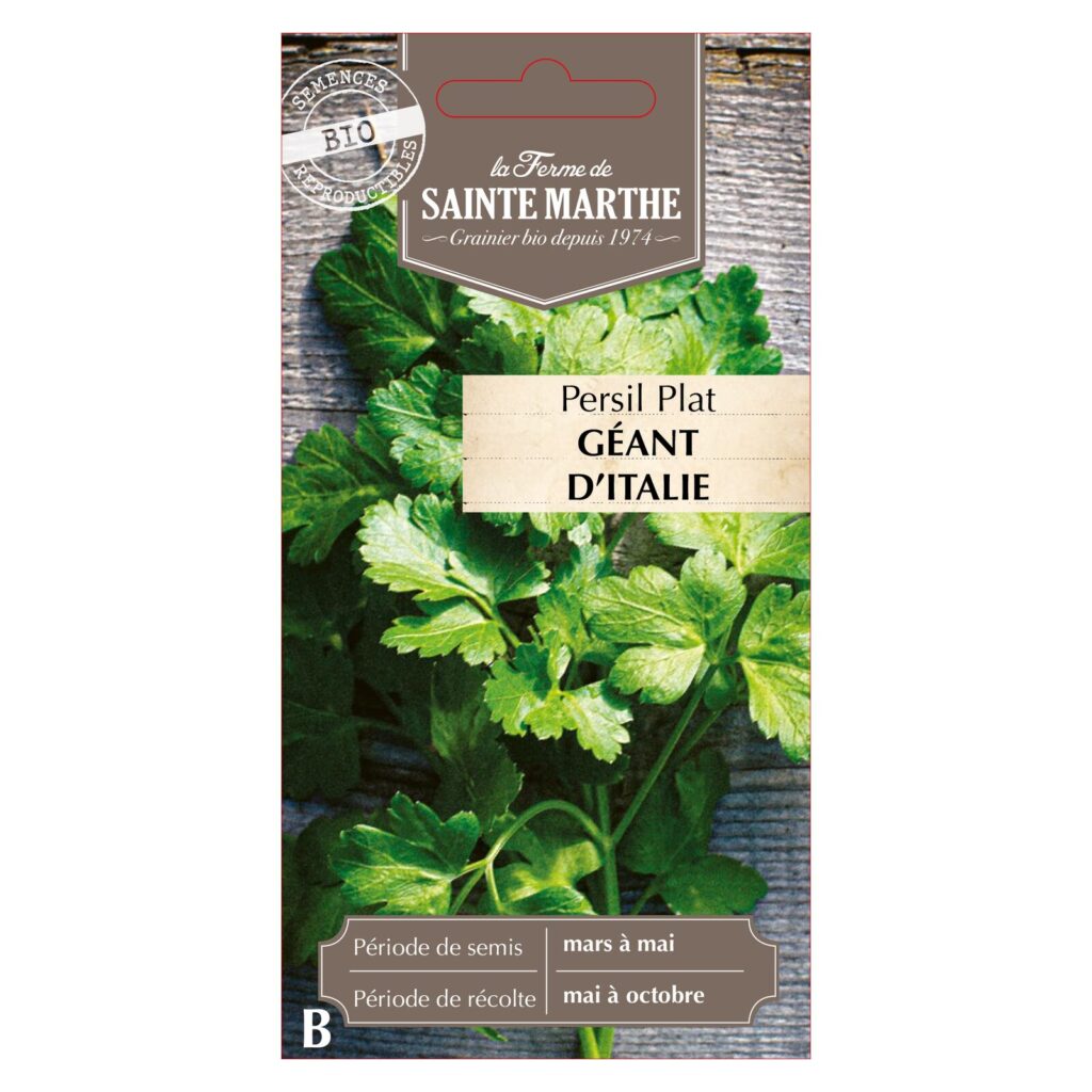 PERSIL PLAT Géant d'Italie - 1000 graines bio — sachet recto