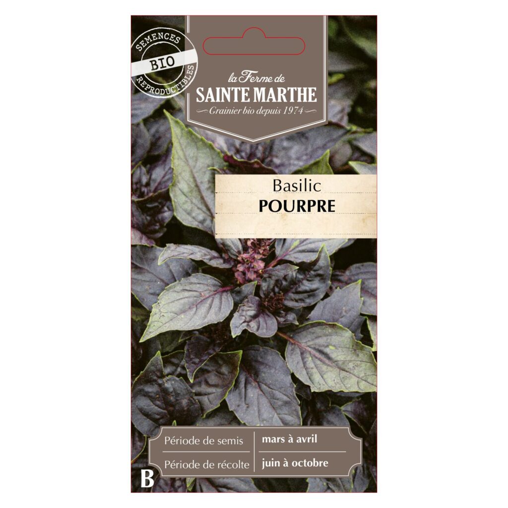BASILIC Pourpre - 200 graines bio — sachet recto