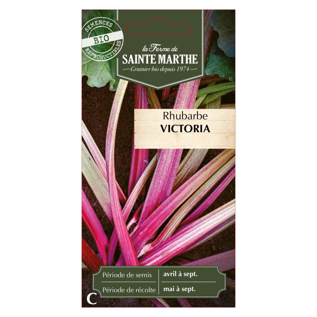 Rhubarbe Victoria - 100 graines bio — sachet recto