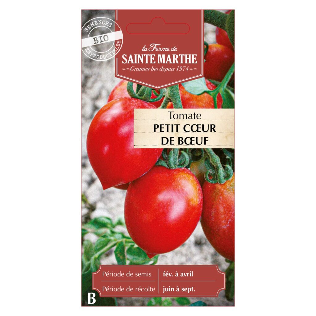 TOMATE Petit Cœur de Bœuf - 30 graines bio — sachet recto