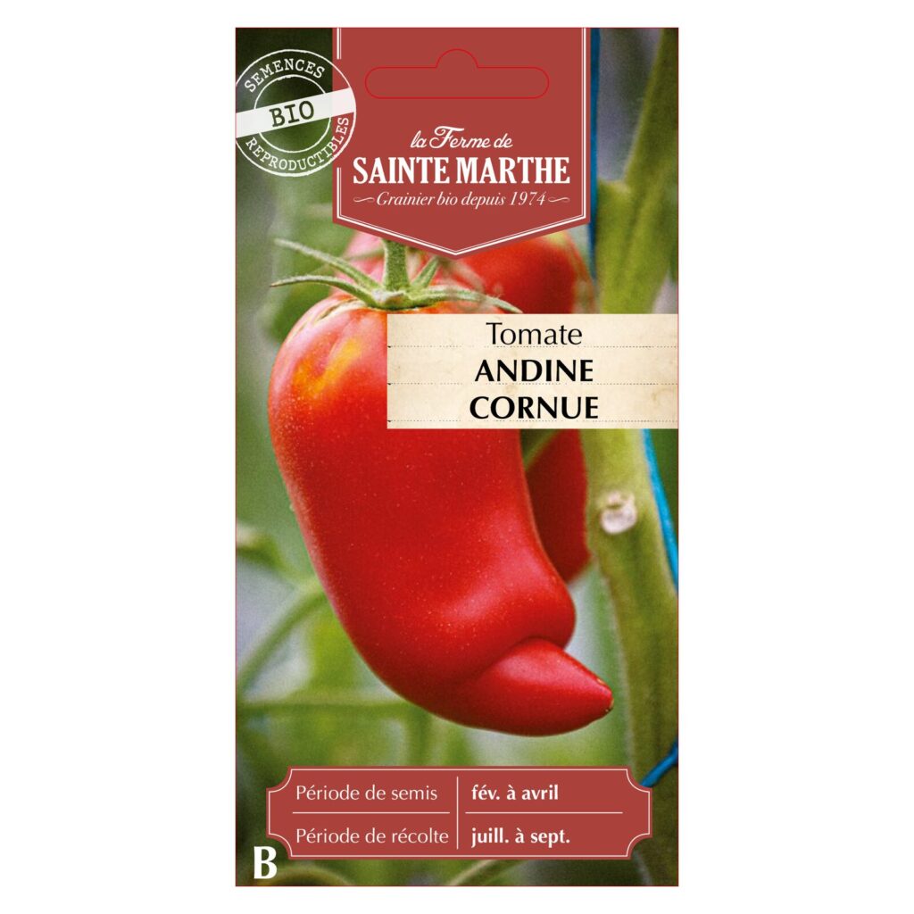 TOMATE Andine Cornue - 30 graines bio — sachet recto