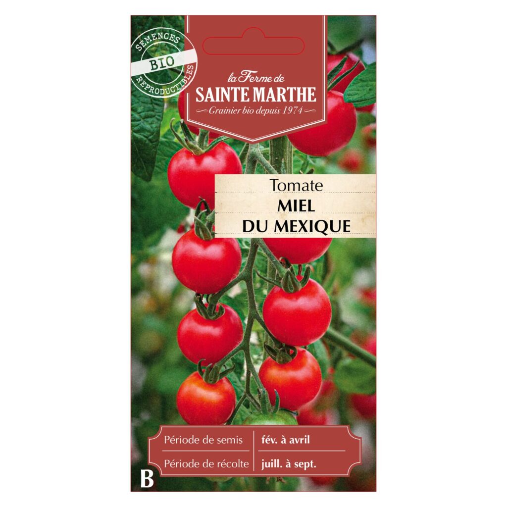 TOMATE Miel du Mexique - 30 graines bio — sachet recto