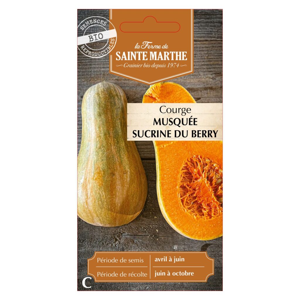 Courge Musquée Sucrine du Berry - 15 graines BIO — sachet recto