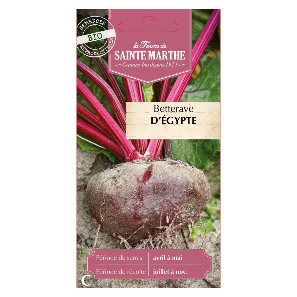 Betterave d'Égypte - 150 graines bio — sachet recto