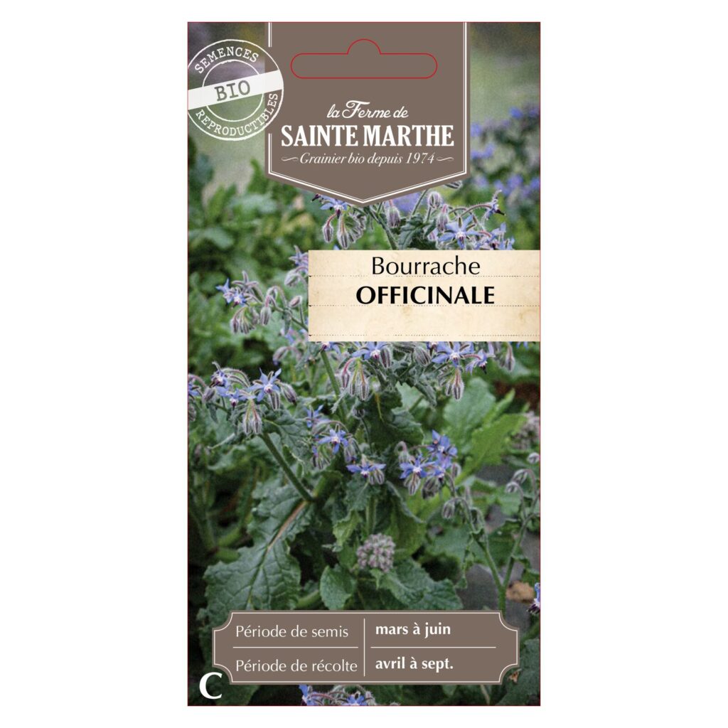 BOURRACHE Officinale - 150 graines bio — sachet recto