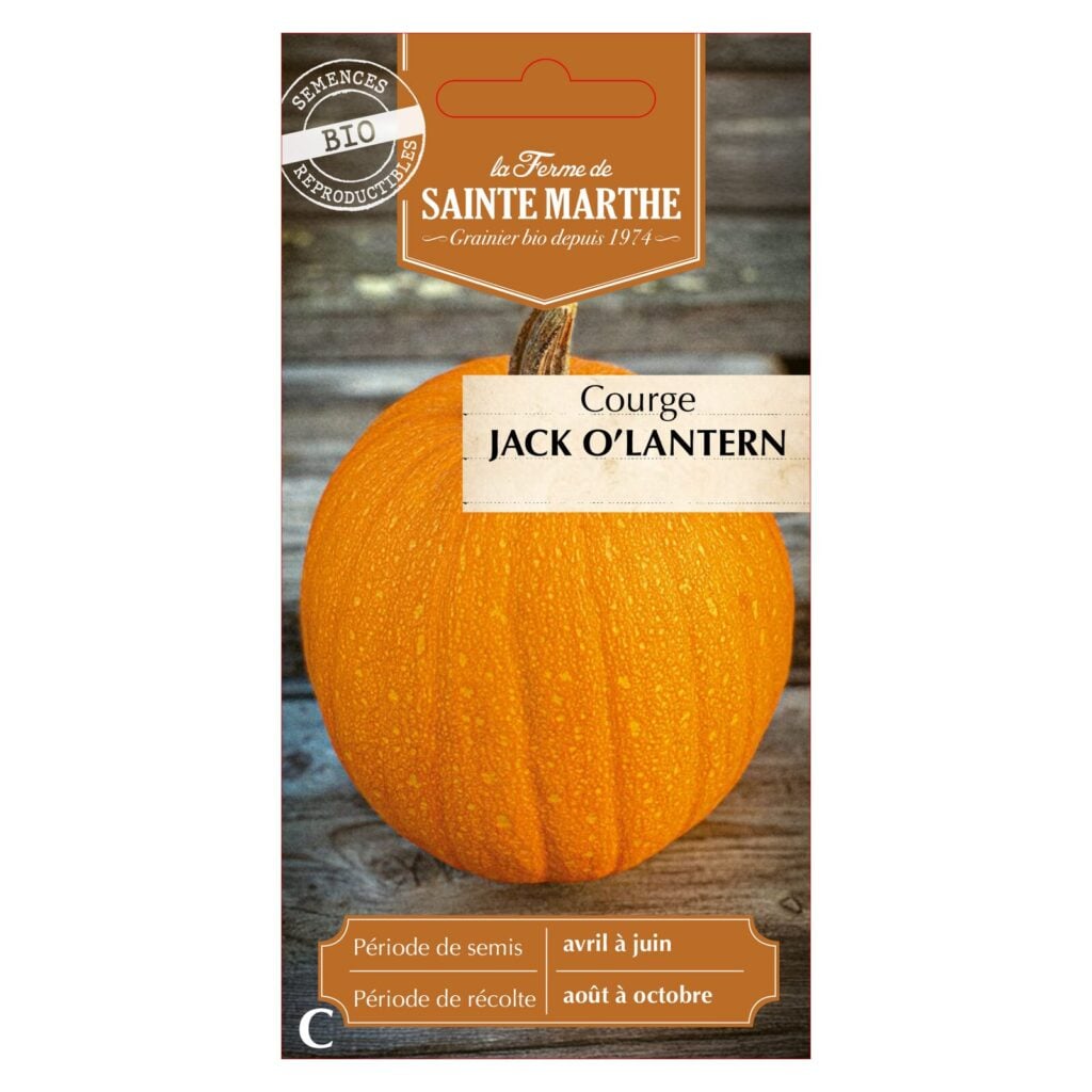 Courge Jack O'Lantern - 15 graines bio — sachet recto