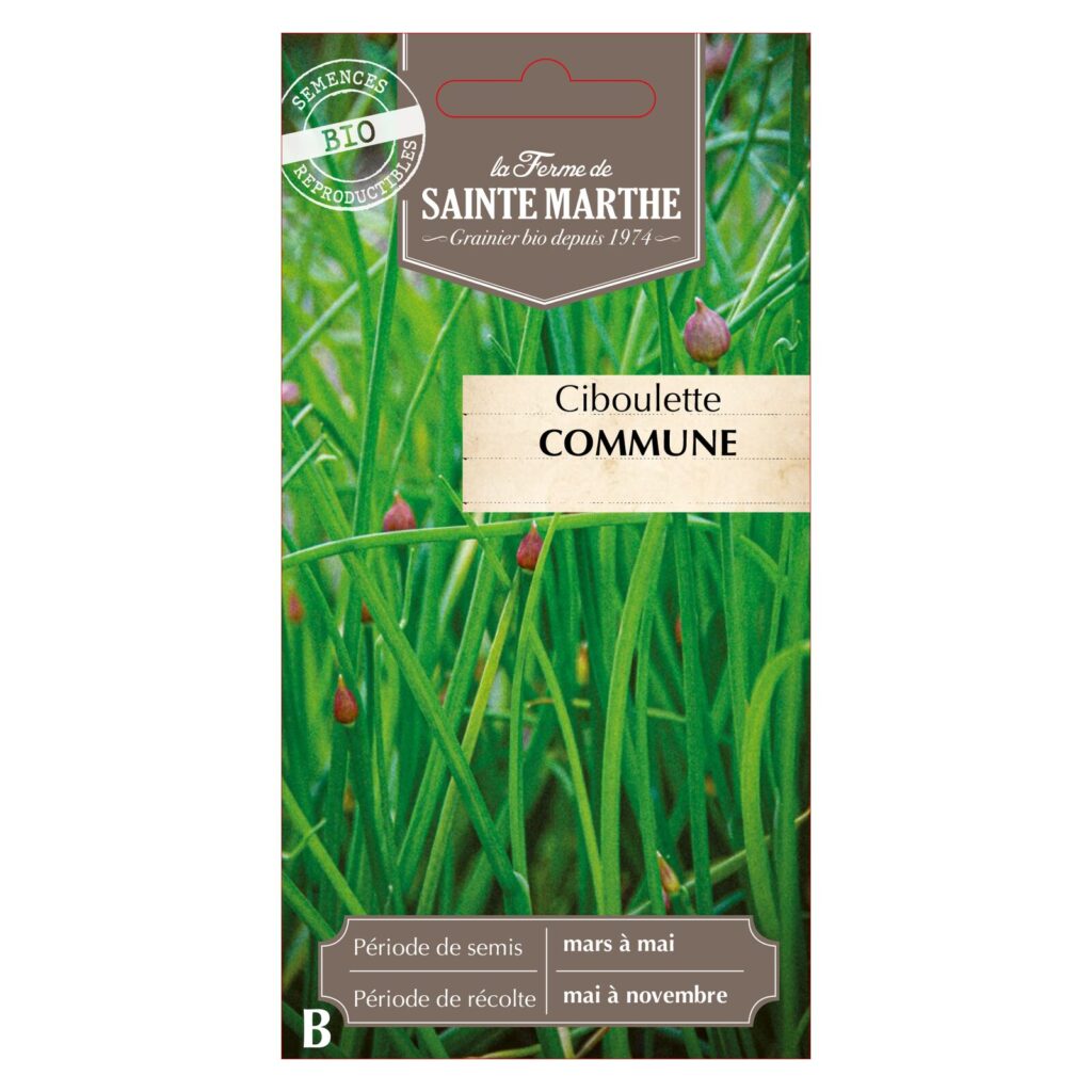 CIBOULETTE Commune - 500 graines bio — sachet recto