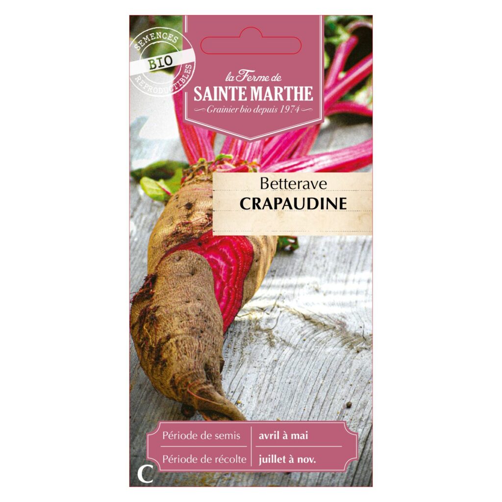 Betterave Crapaudine - 150 graines bio — sachet recto