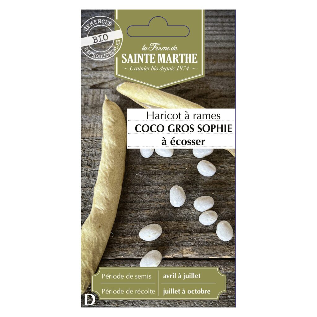 HARICOT À RAMES Coco Gros Sophie - env.165 graines bio — sachet recto