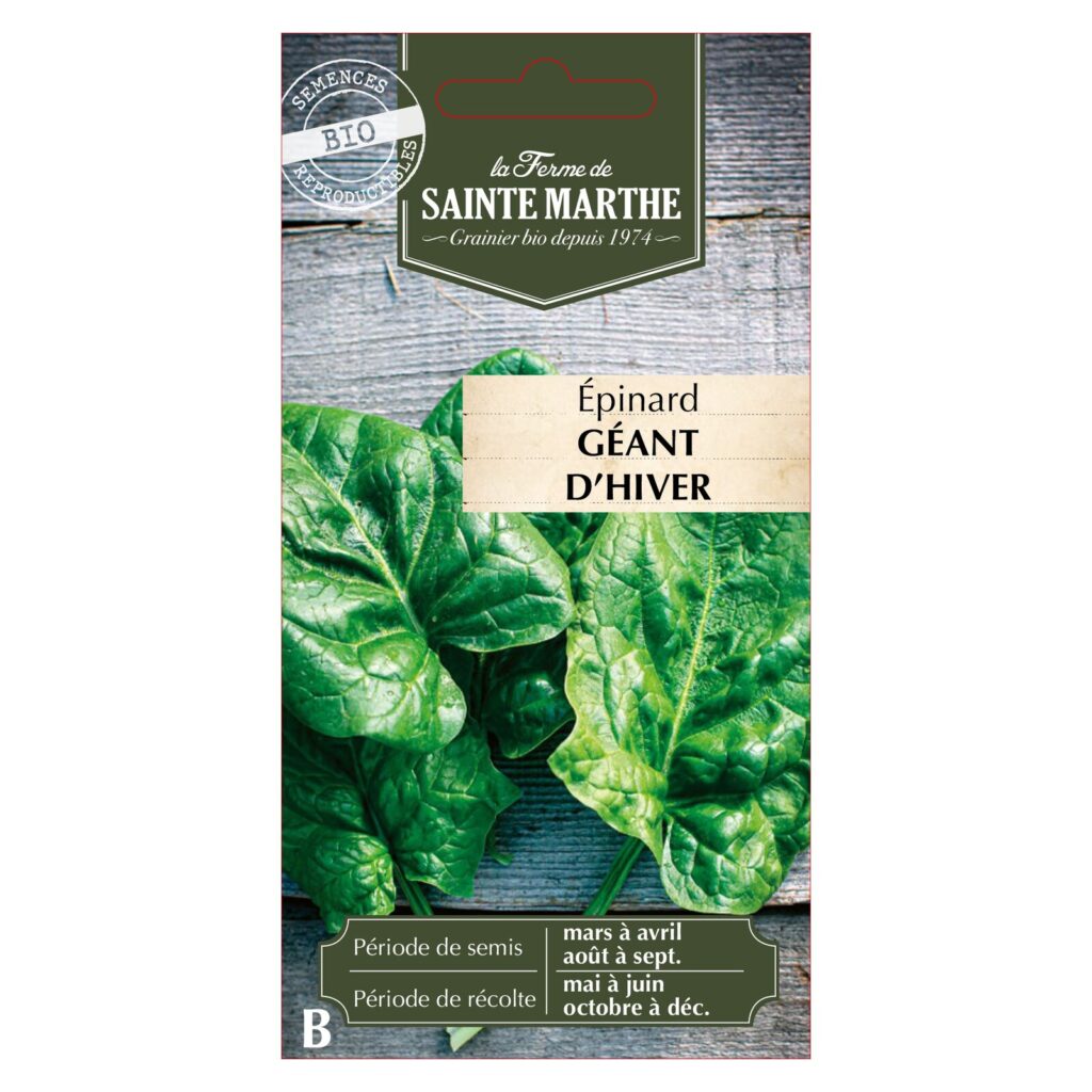 ÉPINARD Géant d'Hiver - 500 graines bio — sachet recto