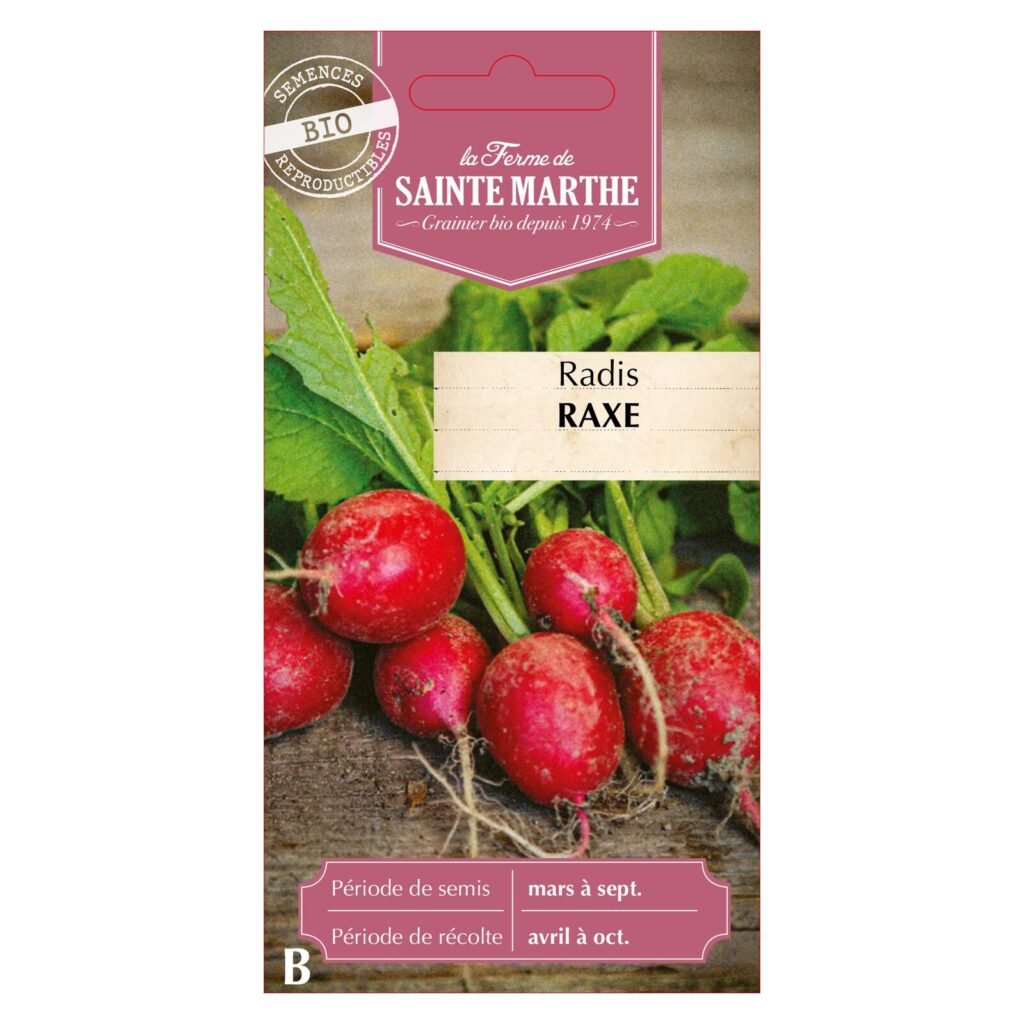 RADIS Raxe - 750 graines BIO — sachet recto