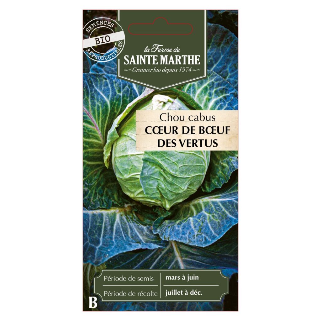 CHOU CABUS Cœur de Bœuf des Vertus - 50 graines bio — sachet recto