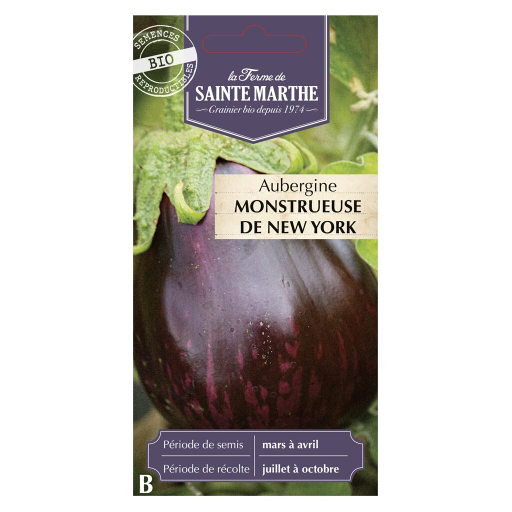 AUBERGINE Monstrueuse de New York - 30 graines bio — sachet recto