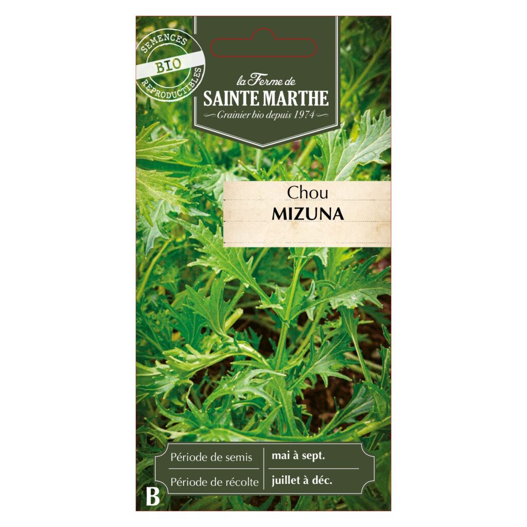 CHOU Mizuna - 250 graines bio — sachet recto