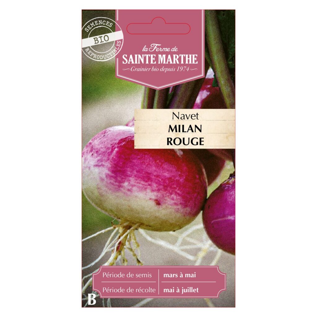 Navet Milan Rouge - 250 graines bio — sachet recto
