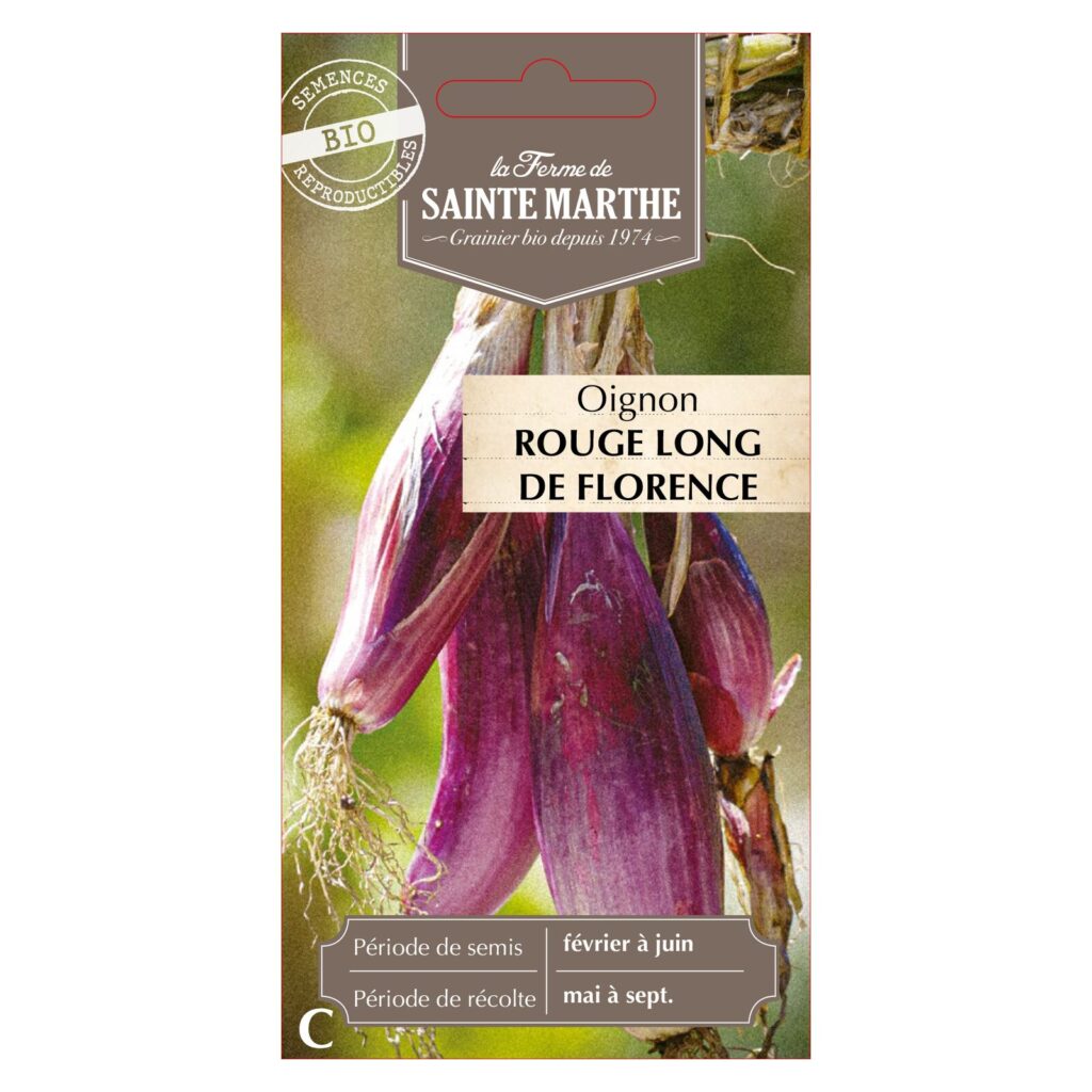 OIGNON Rouge long de Florence - 250 graines bio — sachet recto