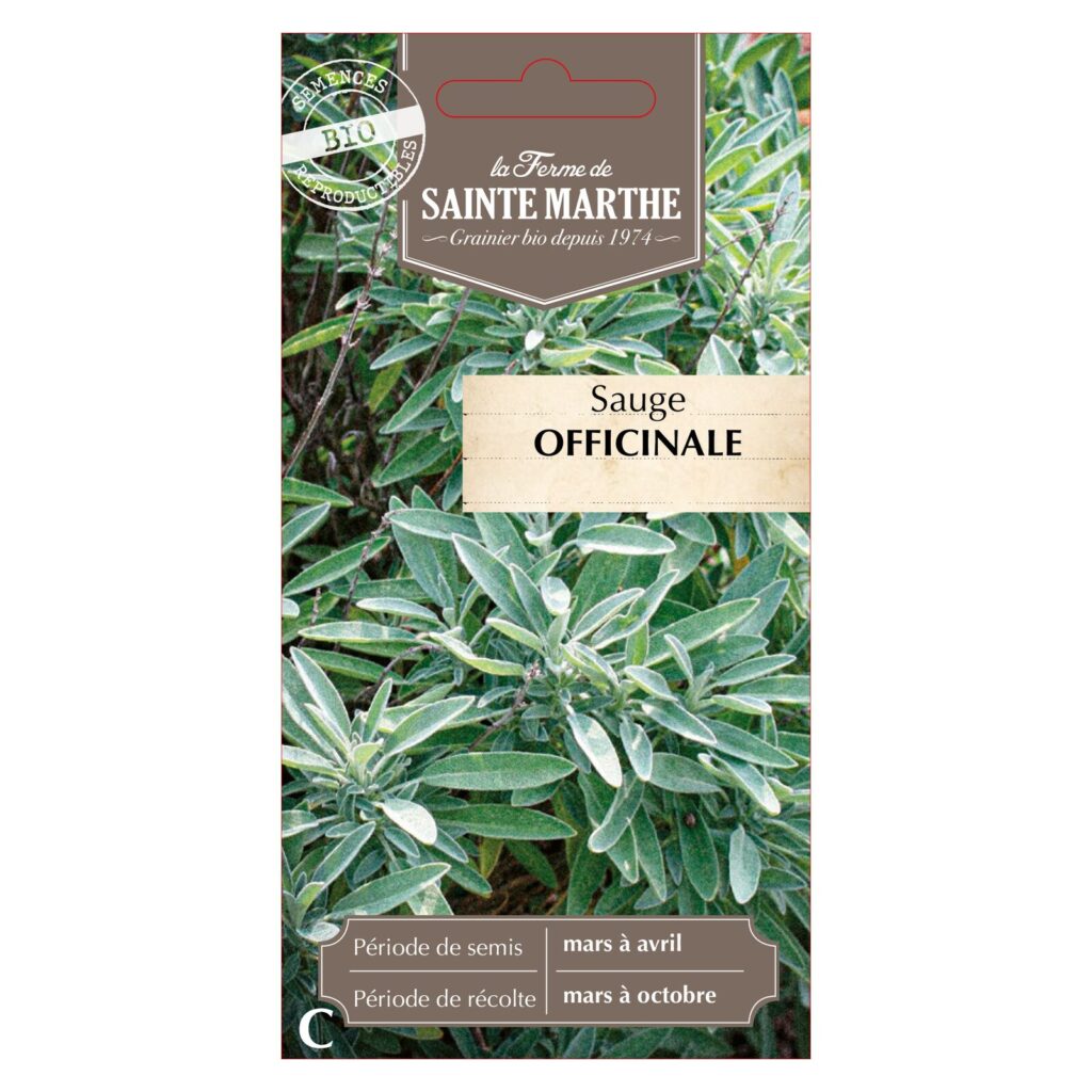 SAUGE Officinale - 150 graines bio — sachet recto