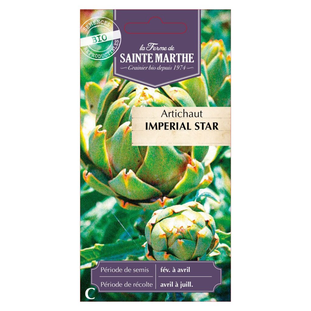 ARTICHAUT Imperial Star - 15 graines bio — sachet recto