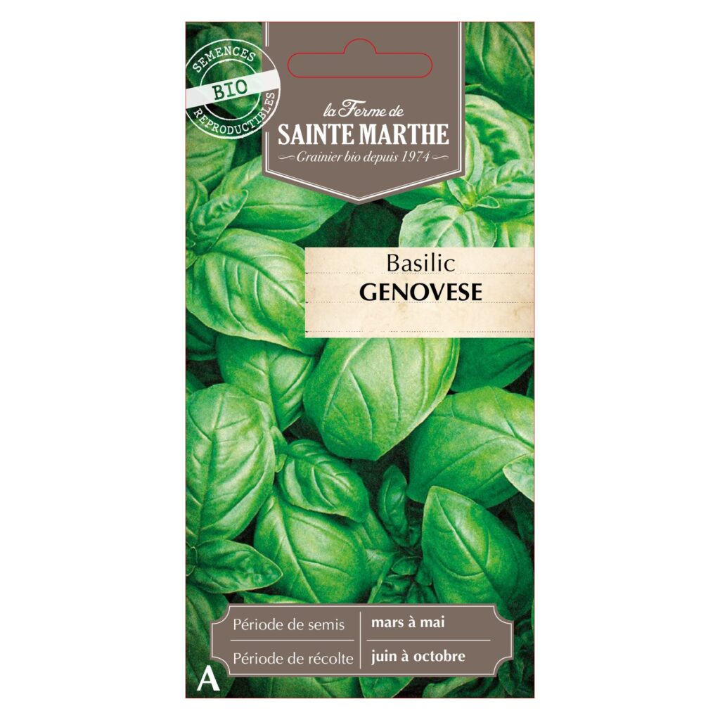 BASILIC Genovese - 200 graines bio — sachet recto