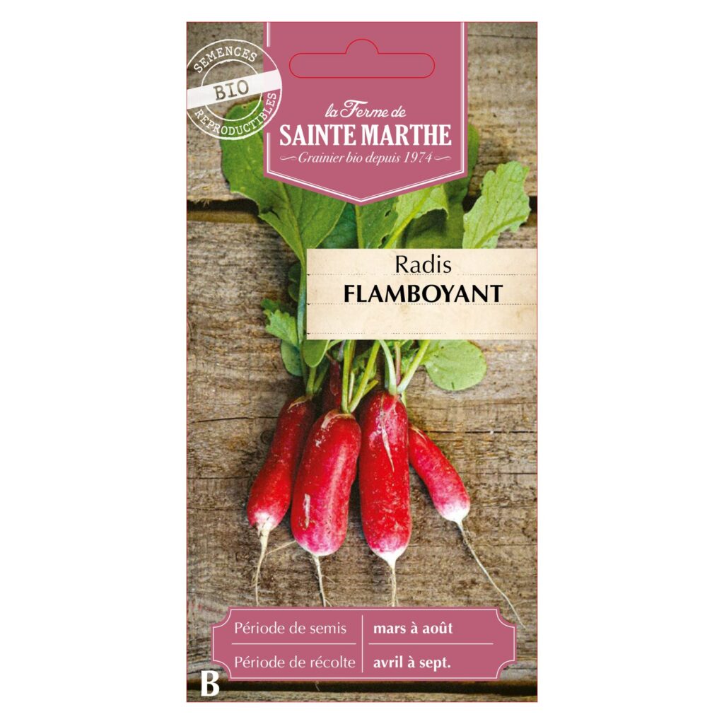 RADIS Flamboyant - 750 graines bio — sachet recto