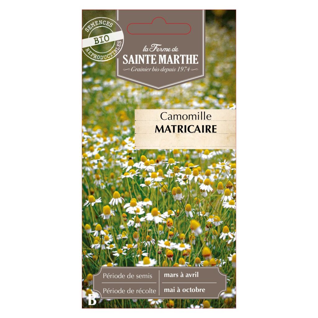 CAMOMILLE Matricaire - 5000 graines bio — sachet recto