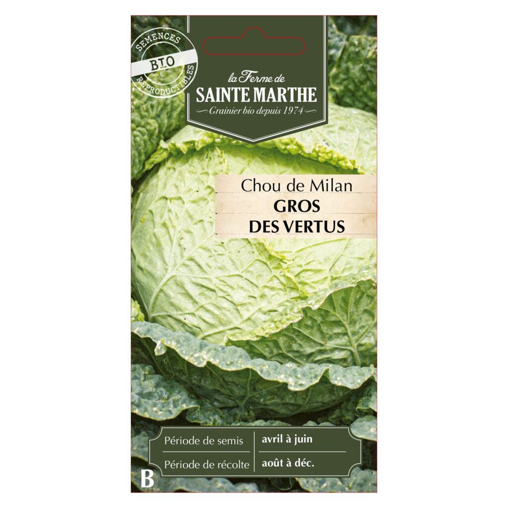 CHOU DE MILAN Gros des Vertus - 50 graines bio — sachet recto