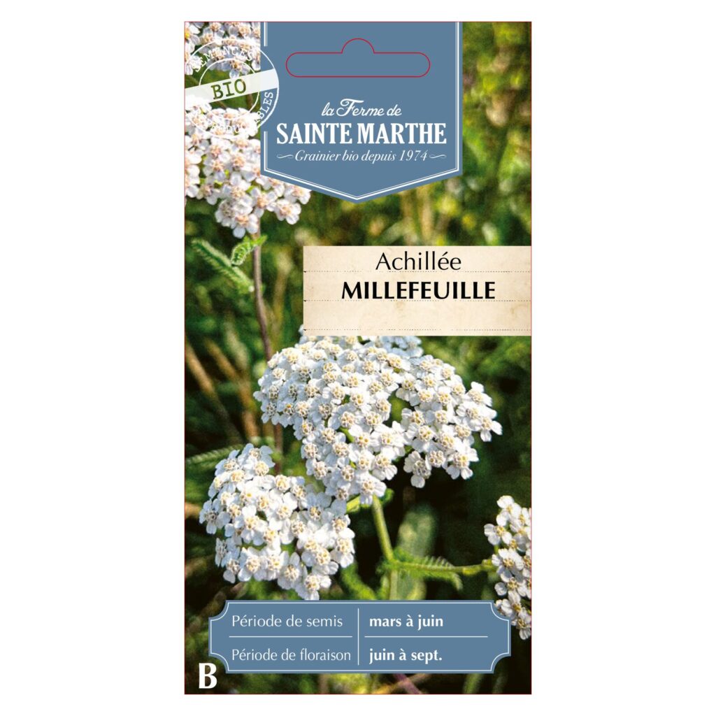 Achillée Millefeuille - 1000 graines bio — sachet recto