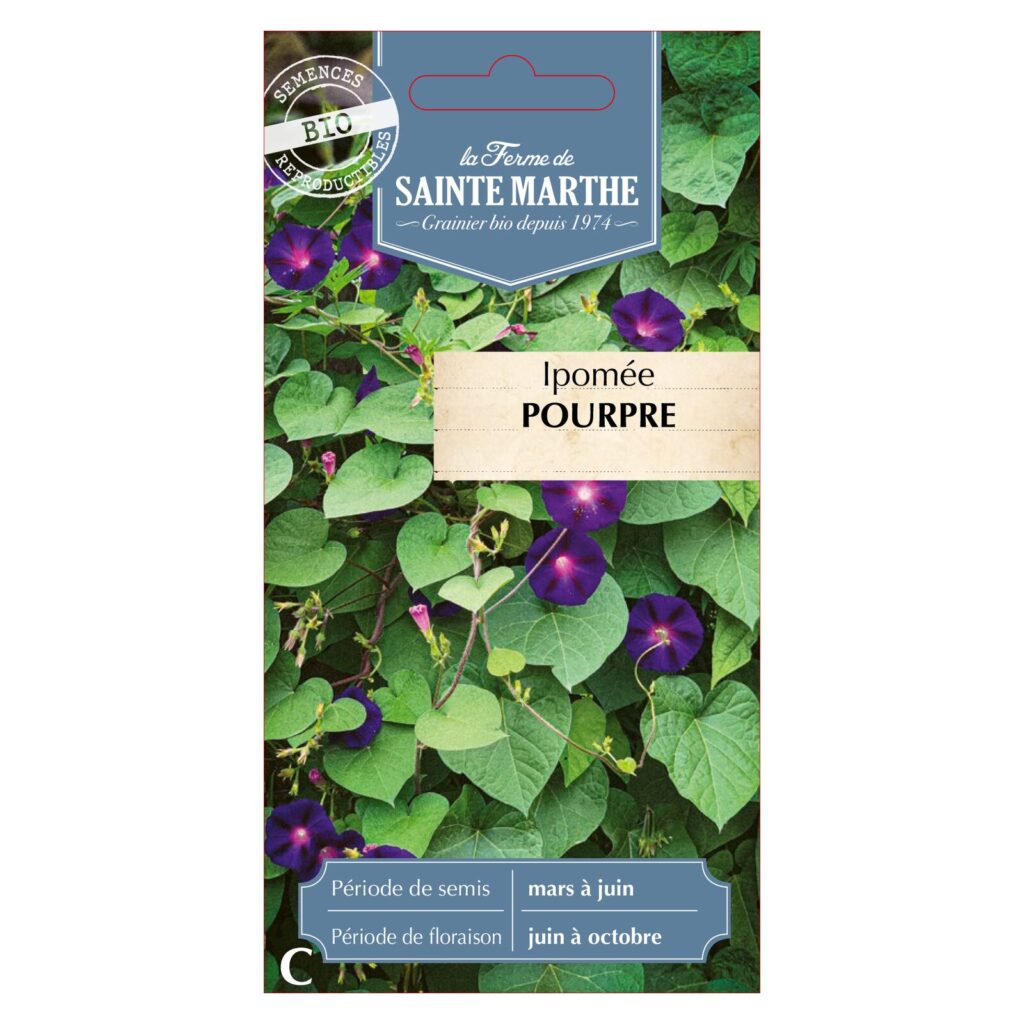IPOMÉE Pourpre - 100 graines bio — sachet recto