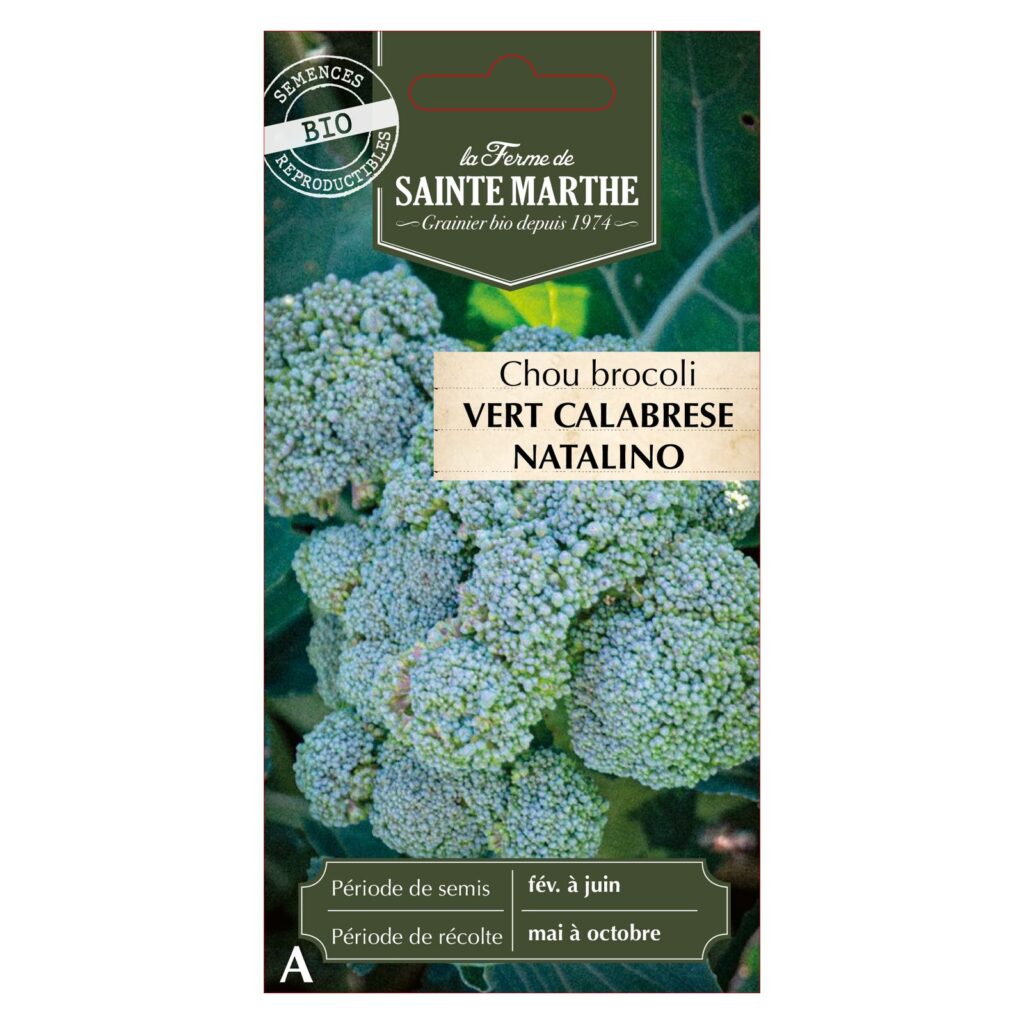 Chou Brocoli Vert Calabrese Natalino - 50 graines bio — sachet recto