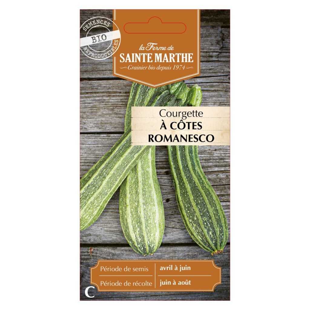 COURGETTE à Côtes Romanesco - 15 graines bio — sachet recto
