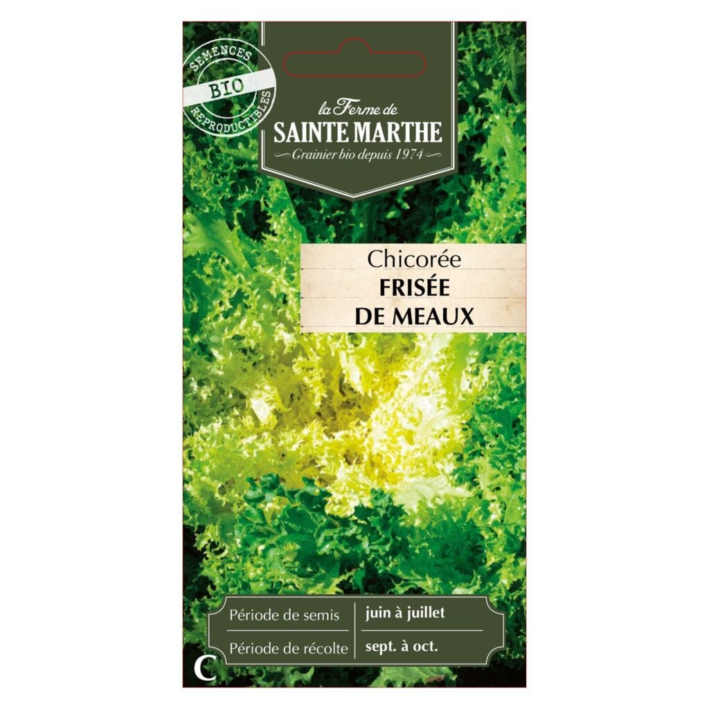 CHICORÉE Frisée de Meaux - 500 graines BIO — sachet recto
