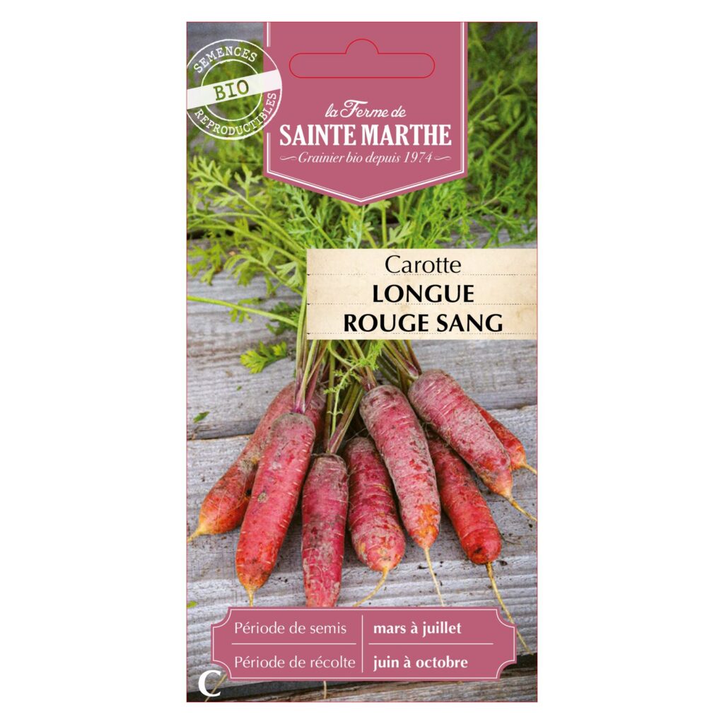 CAROTTE Longue Rouge Sang - 1000 graines bio — sachet recto
