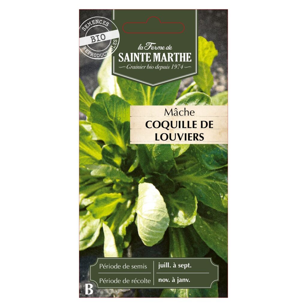 MÂCHE Coquille de Louviers - 500 graines BIO — sachet recto
