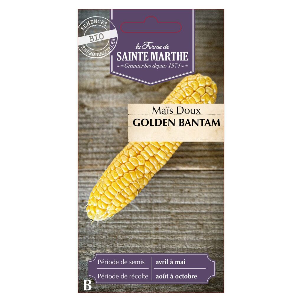 MAÏS DOUX Golden Bantam - 50 graines bio — sachet recto